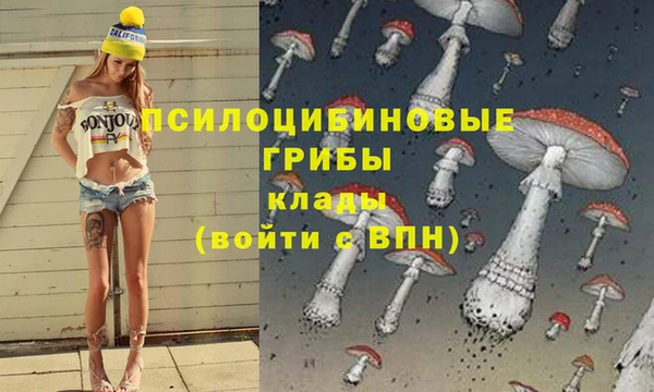 тгк Арсеньев