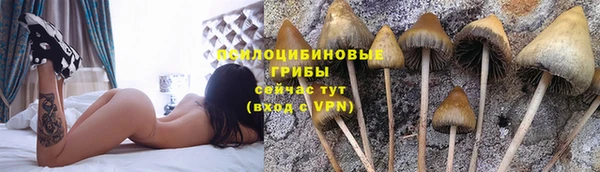 тгк Арсеньев