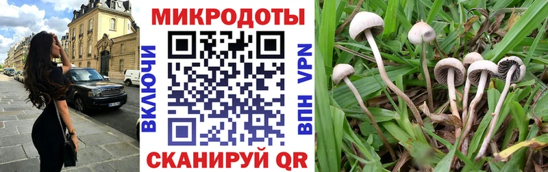 площадка формула  Североморск  Псилоцибиновые грибы ЛСД  ОМГ ОМГ ССЫЛКА 